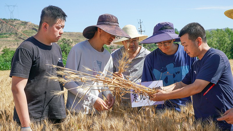China reduce la brecha con EE.UU. en investigación científica de punta