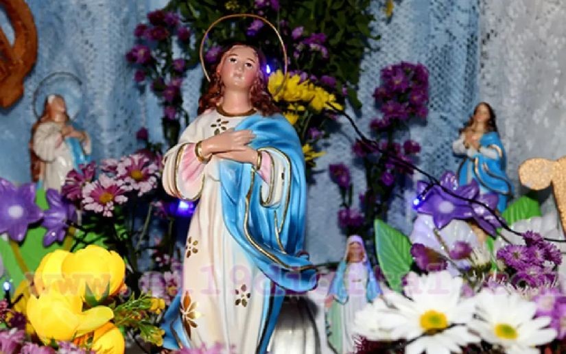 Celebramos la bendición de la paz con más de 75 mil actividades en honor a la Purísima Concepción de María