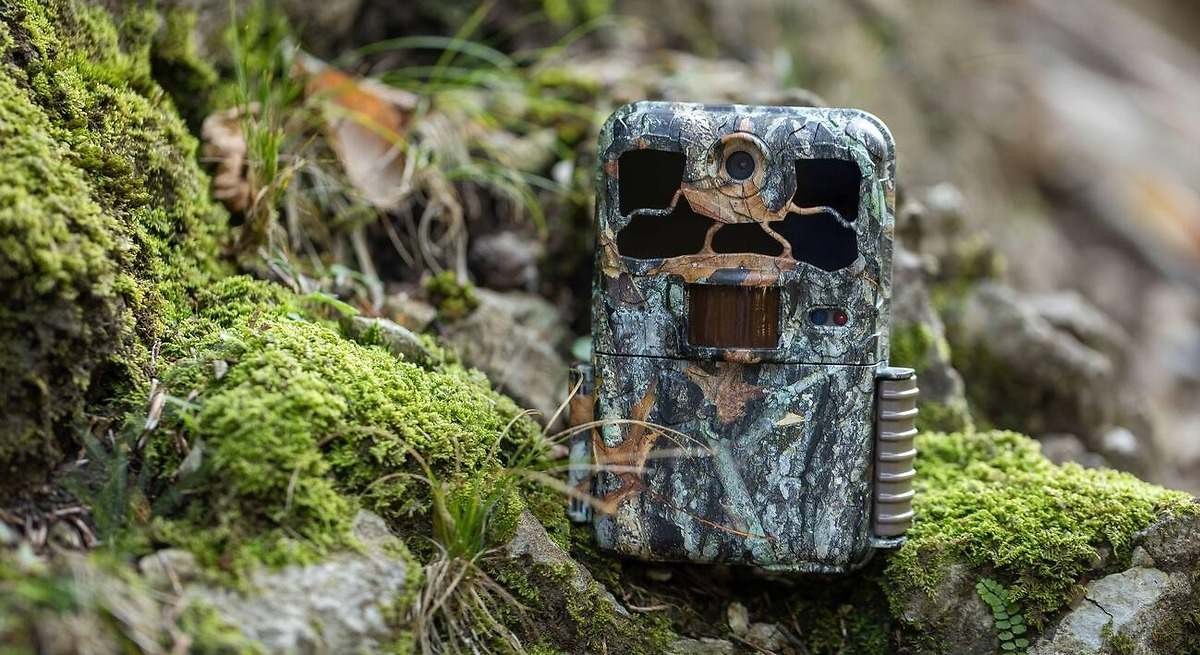 Dejó una cámara dentro de una cueva durante 10 años y no podía creer lo que había grabado