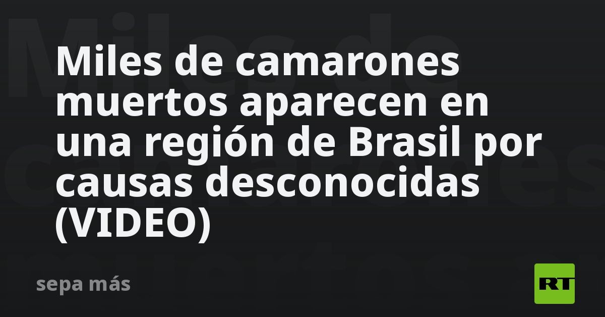 Miles de camarones muertos aparecen en una región de Brasil por causas desconocidas (VIDEO)